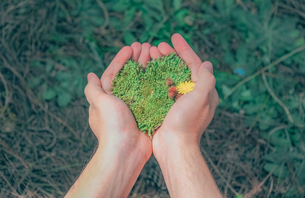 Hands holding green seeds