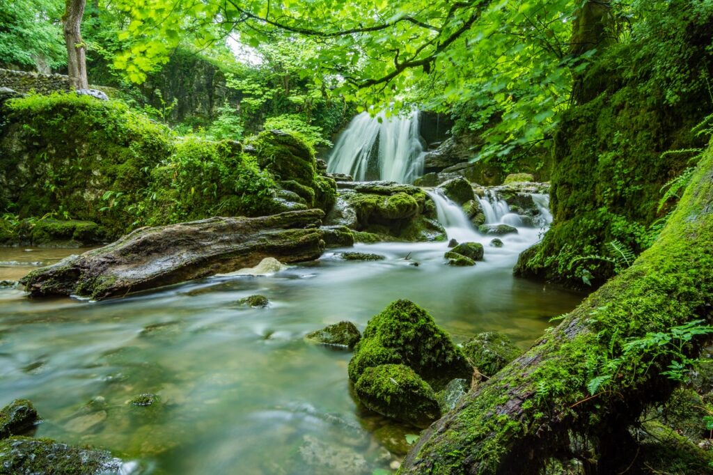 Natural waterfall in green landscape